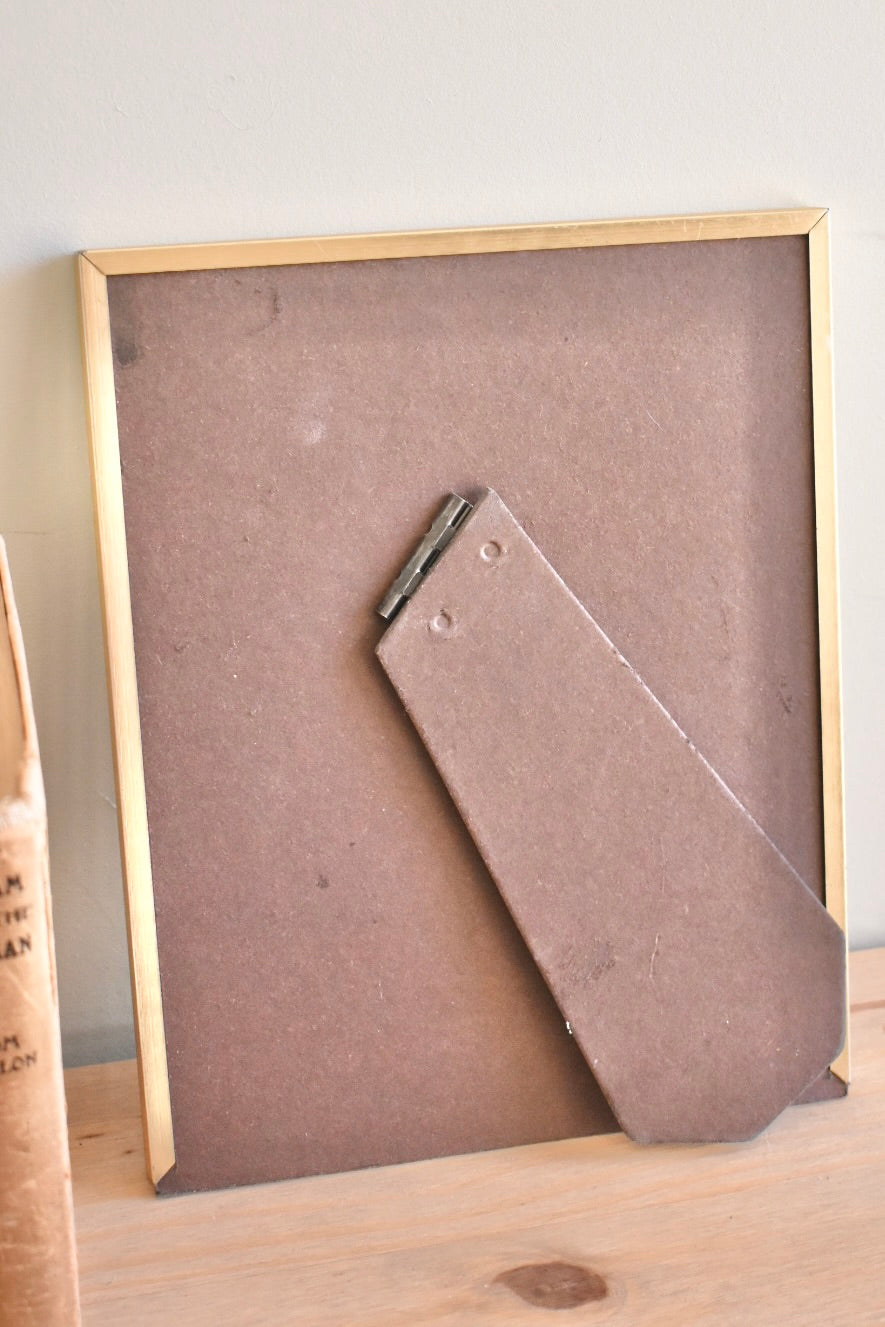 large oval mat brass frame - custom pet portrait