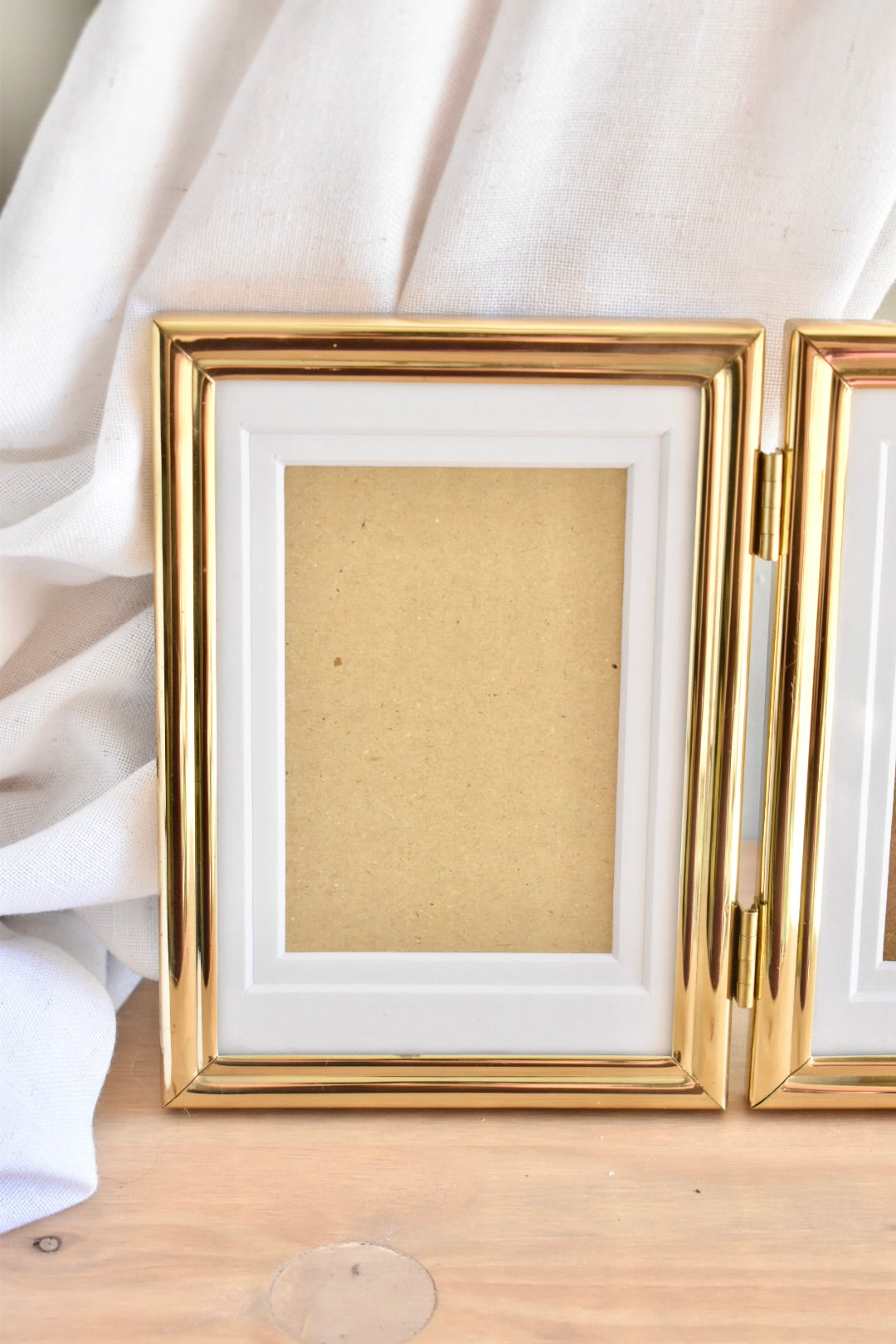 medium duo brass frame - custom pet portrait set