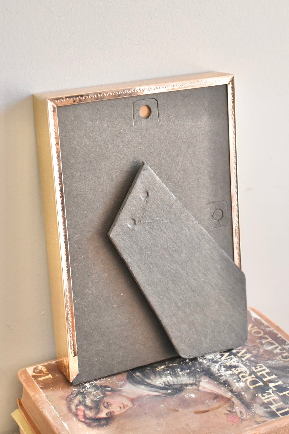 medium oval mat shadow box brass frame - custom pet portrait