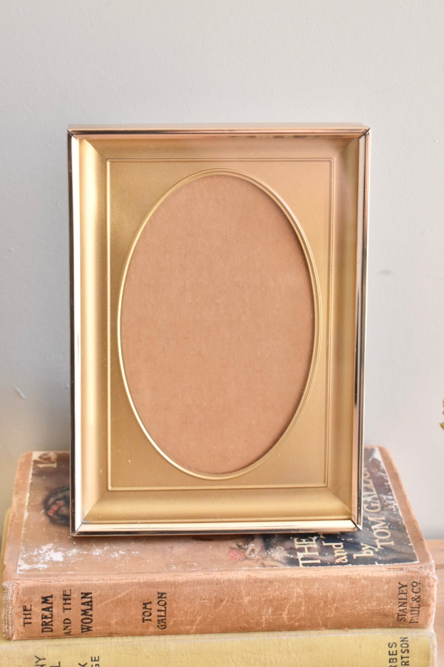 medium oval mat shadow box brass frame - custom pet portrait