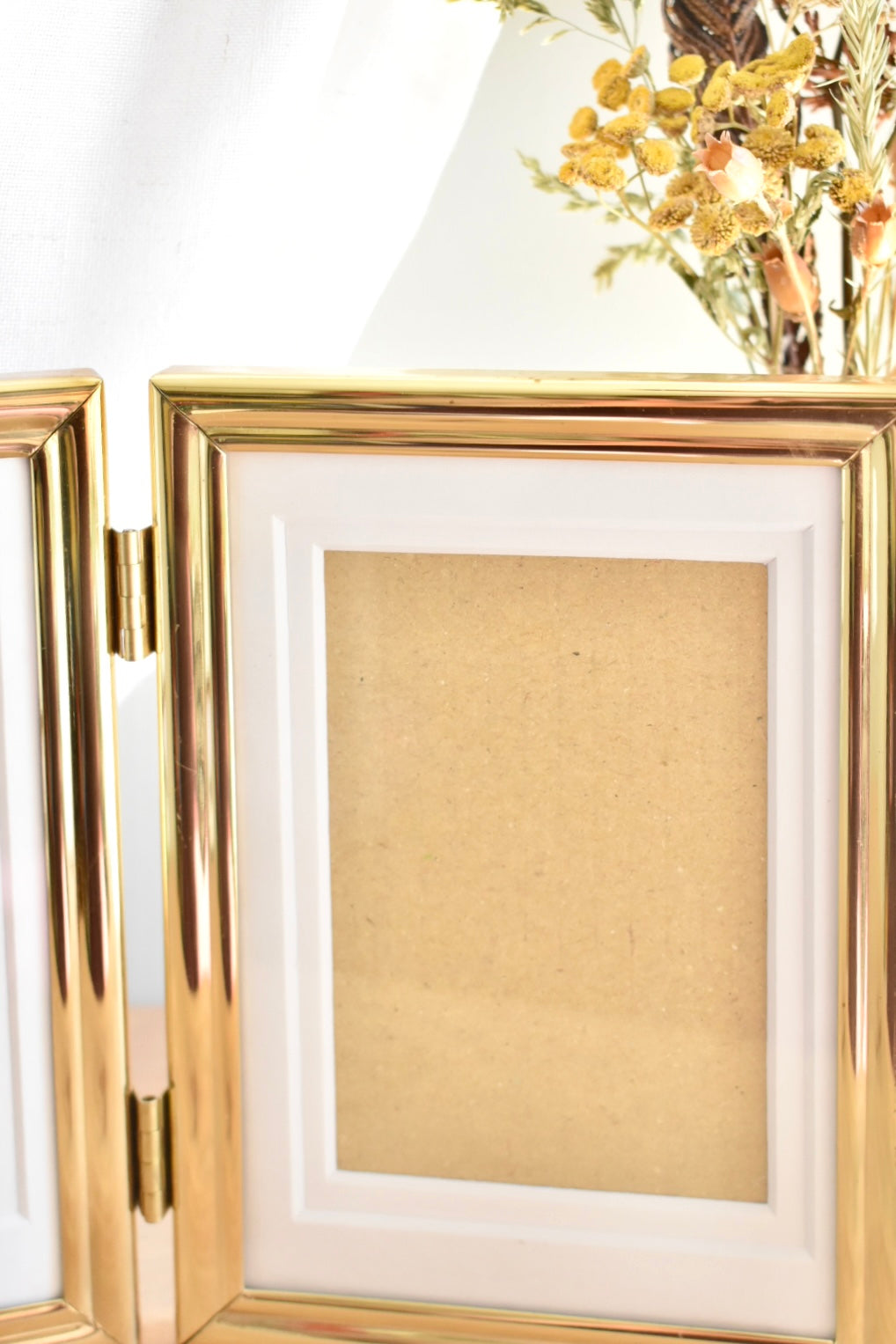 medium duo brass frame - custom pet portrait set