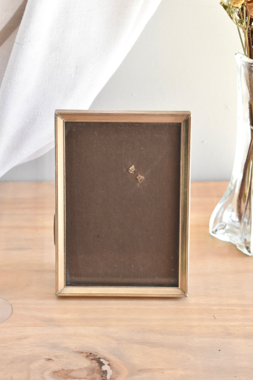 small brass frame - custom pet portrait