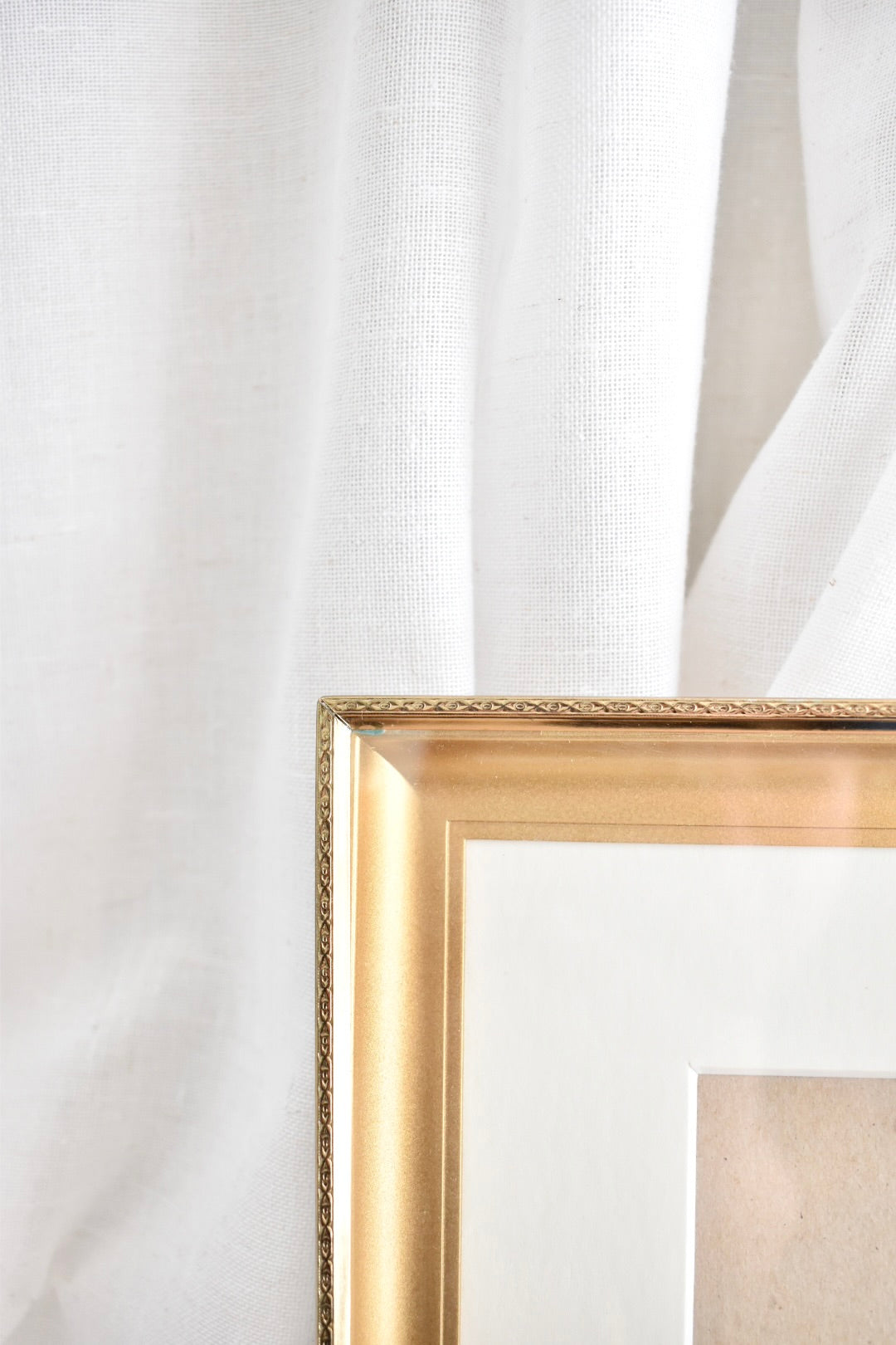 large shadow box frame - custom pet portrait