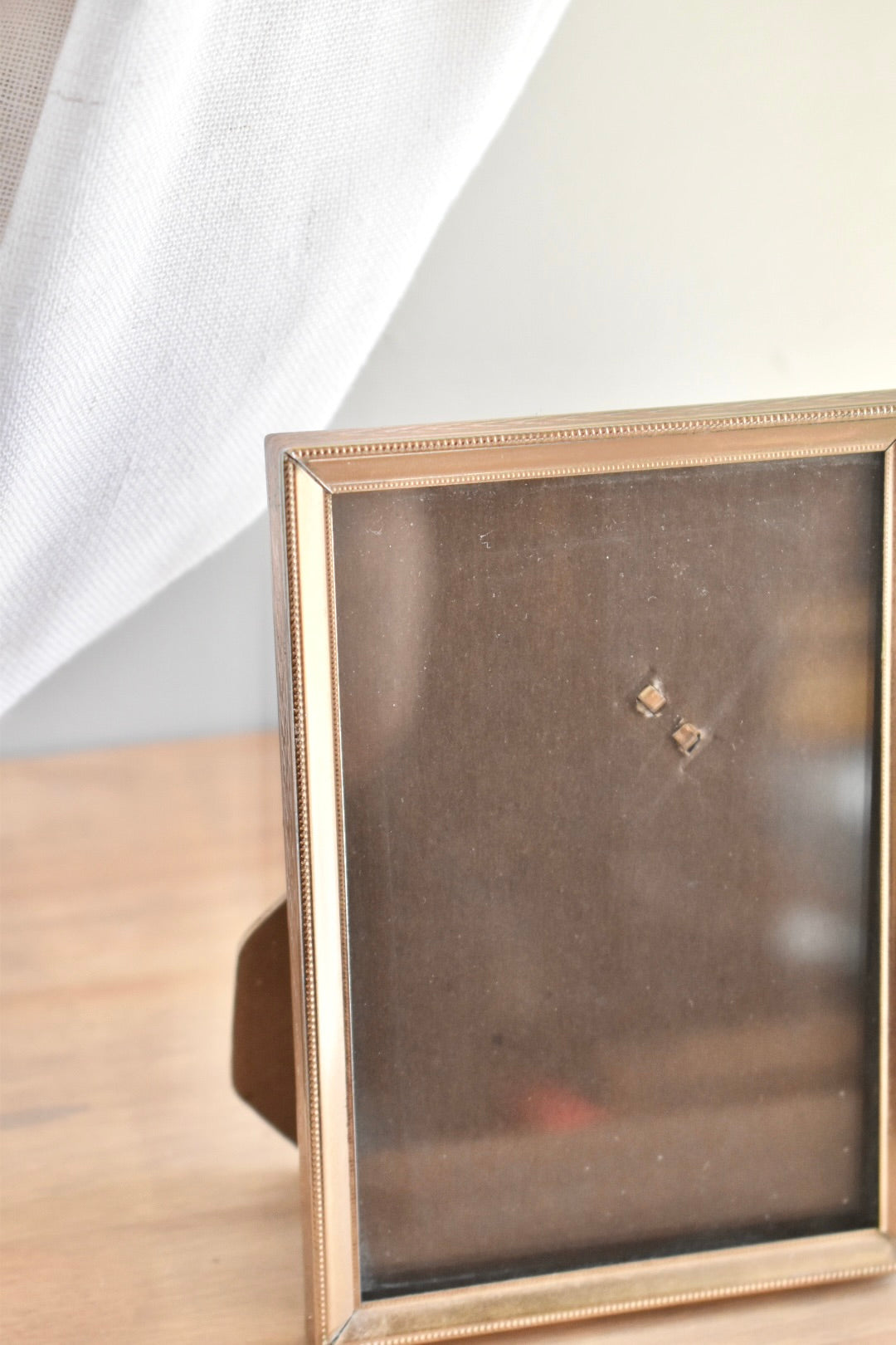 small brass frame - custom pet portrait