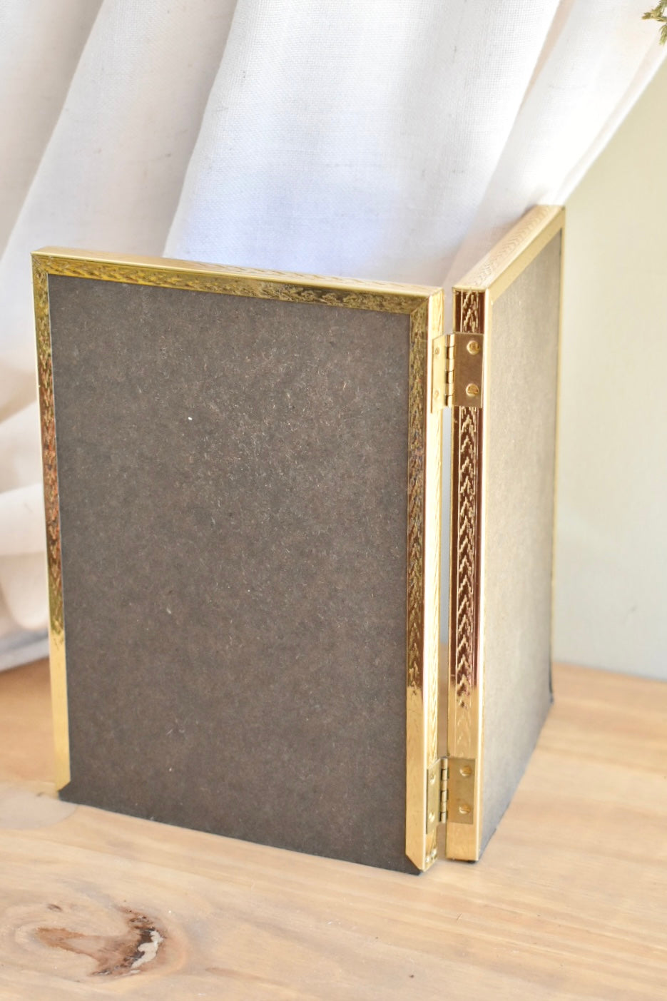 medium duo brass frame - custom pet portrait set