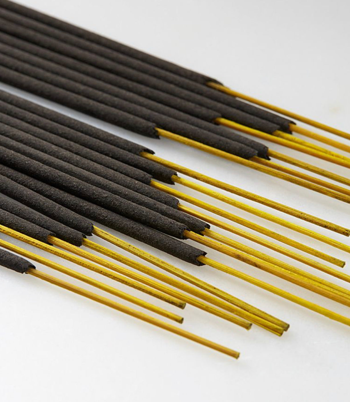 black spruce + fir balsam essential oil incense