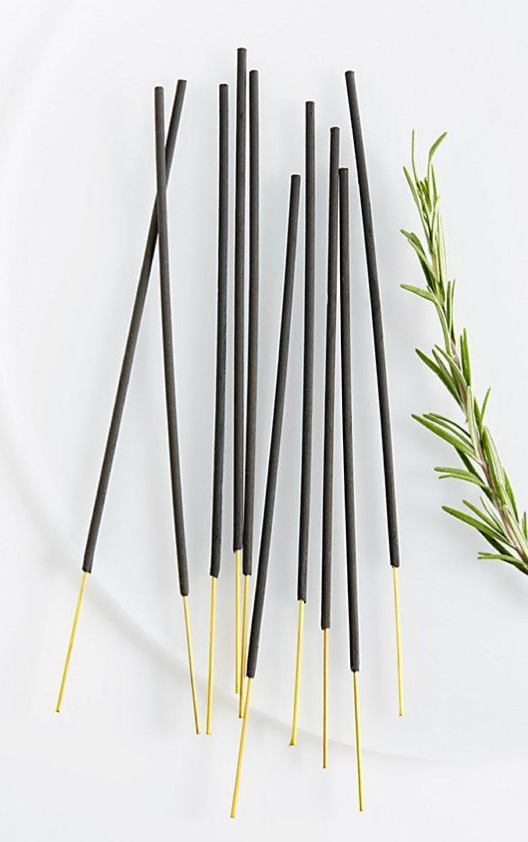 black spruce + fir balsam essential oil incense