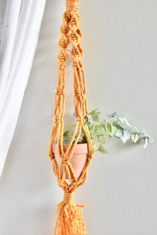 mini yellow macrame hanger with pot