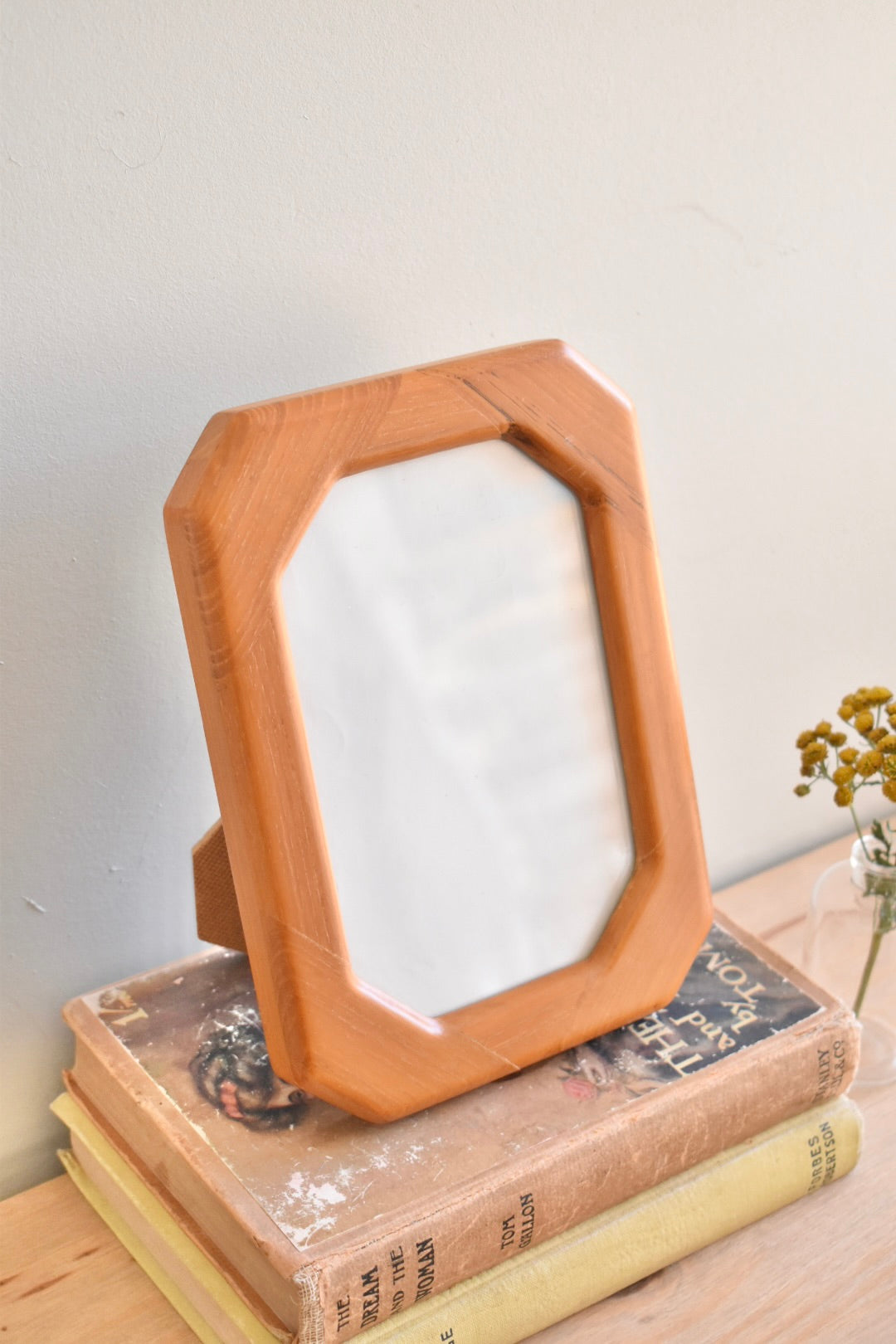 medium beveled wood frame - custom pet portrait