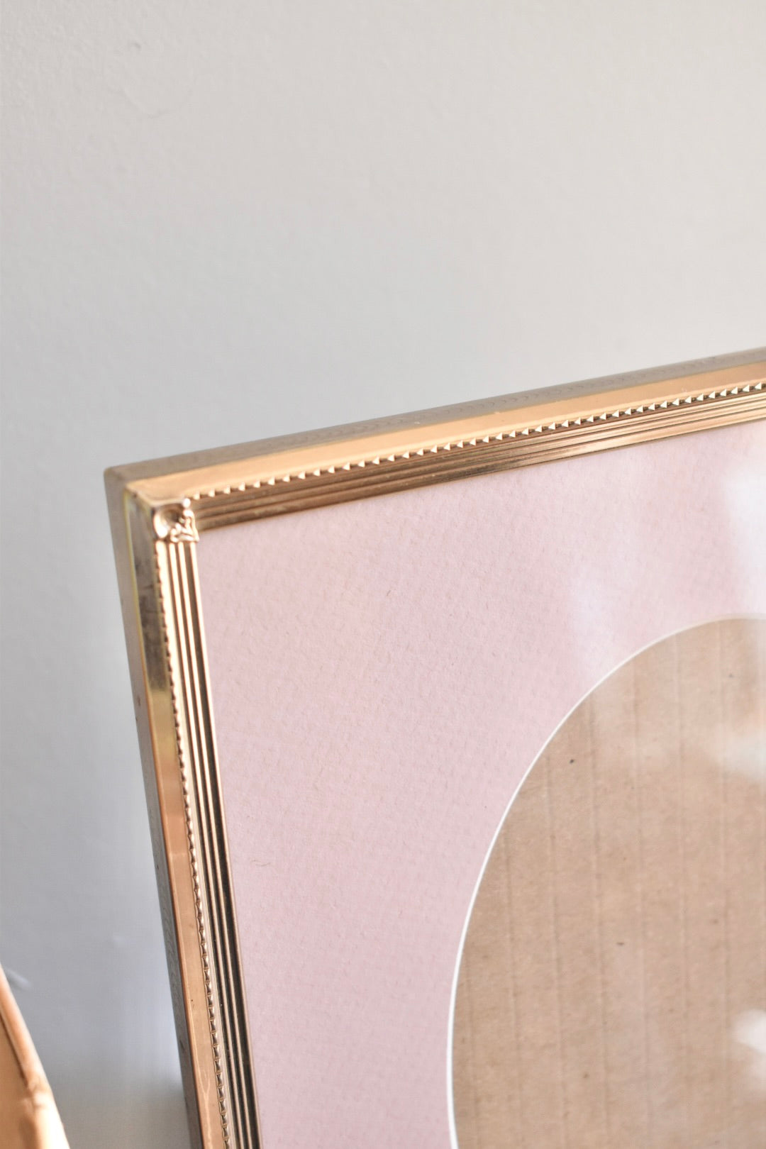 large oval mat brass frame - custom pet portrait