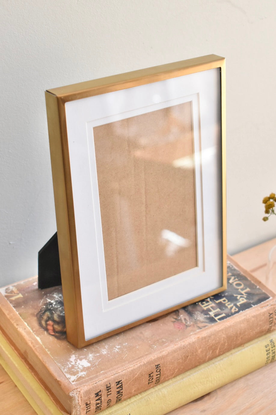 medium brushed brass frame - custom pet portrait