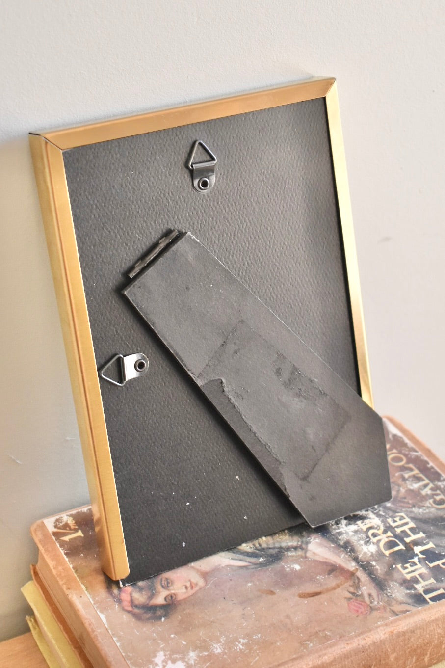 medium brushed brass frame - custom pet portrait