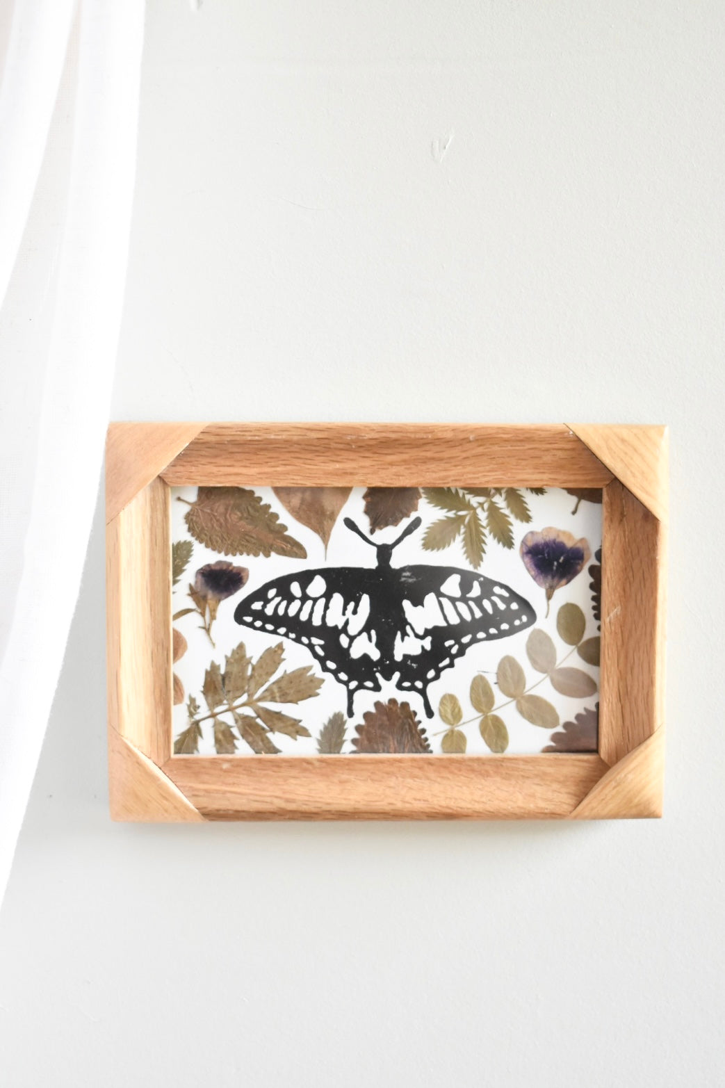 Medium butterfly wooden pressed flower frame