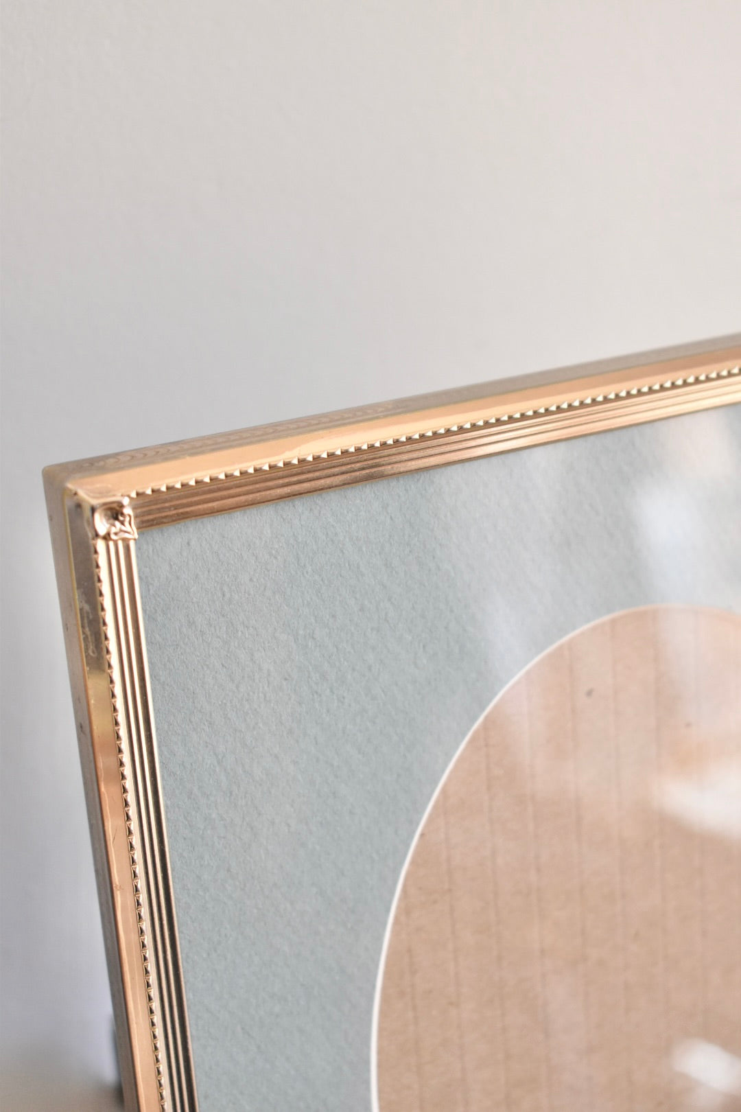 large oval mat brass frame - custom pet portrait