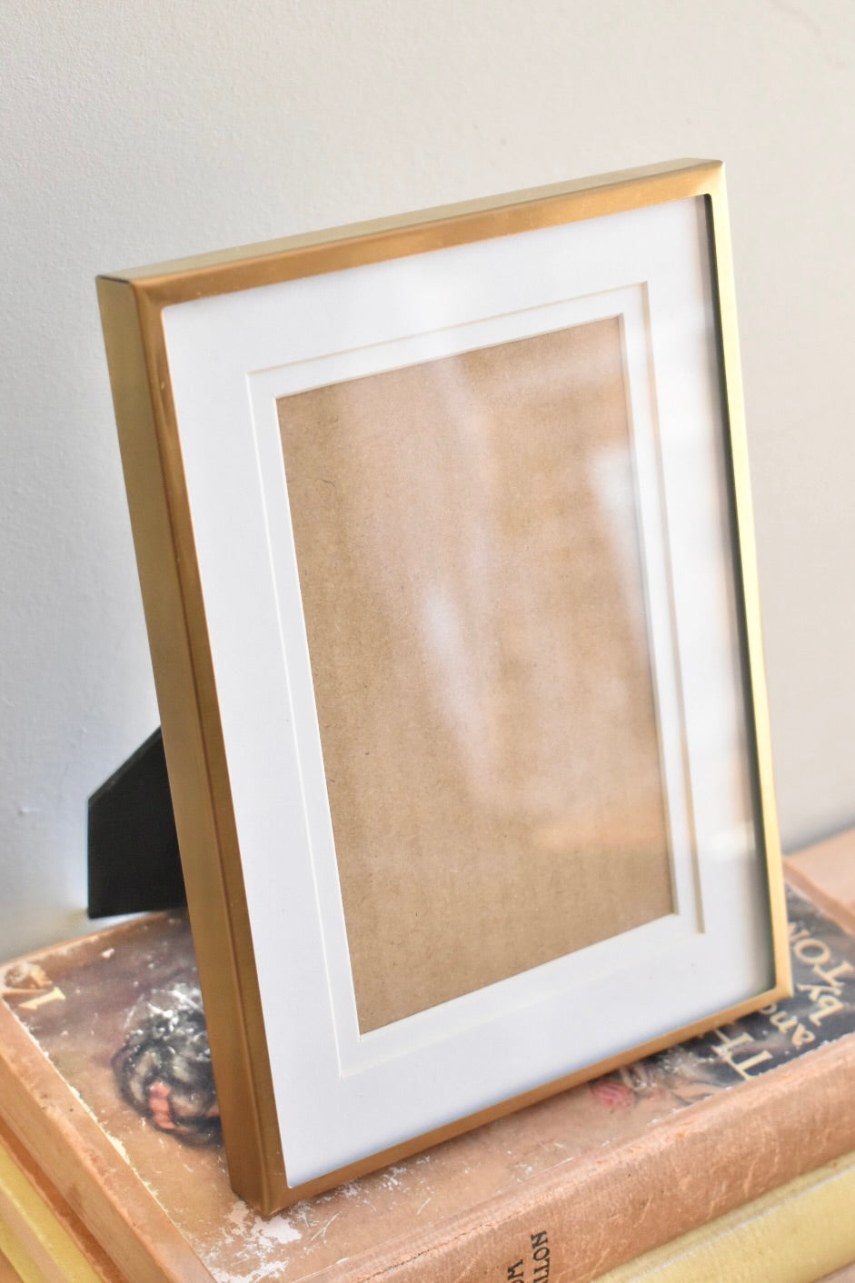 medium brushed brass frame - custom pet portrait
