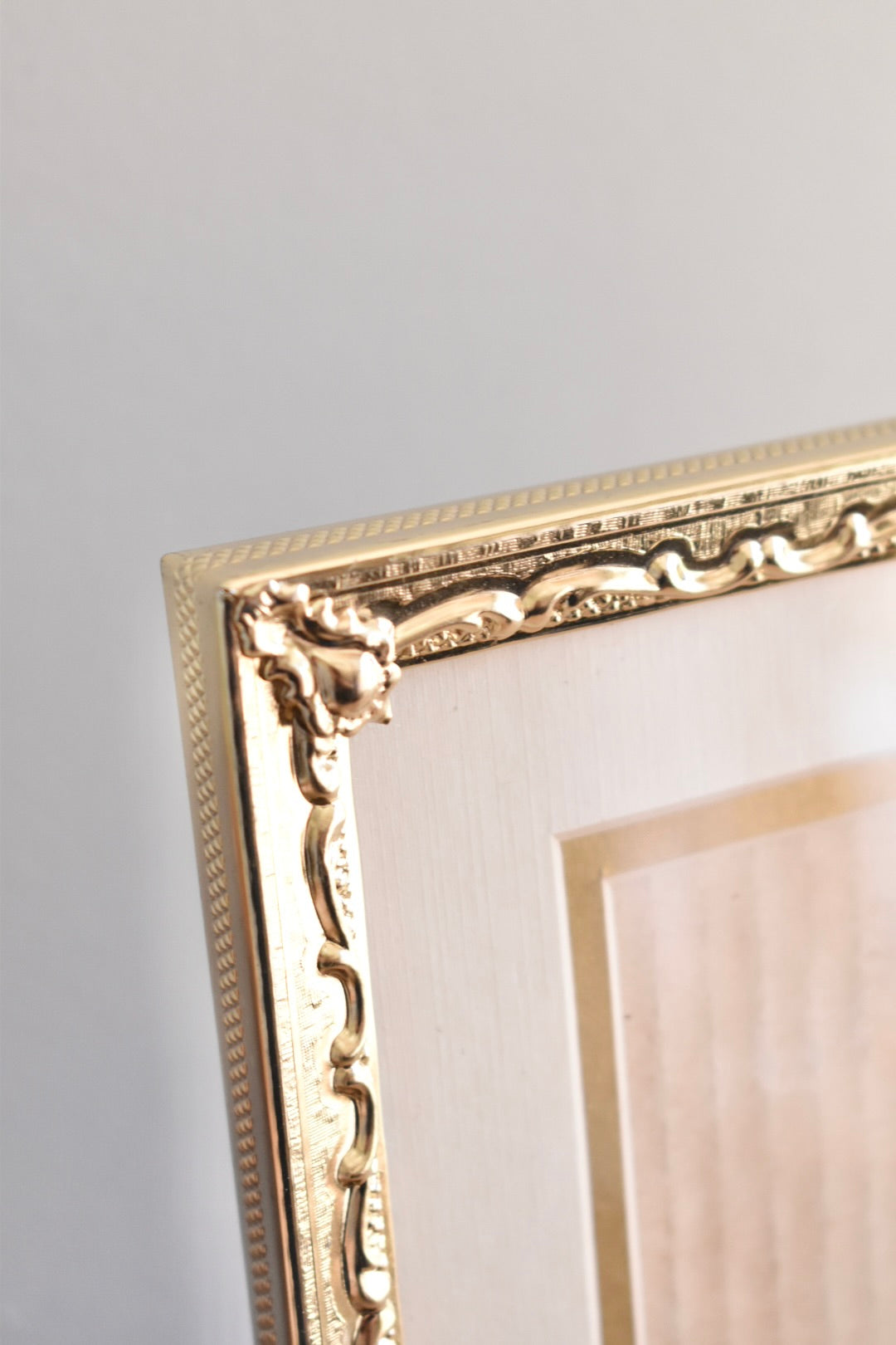 large ornate brass frame - custom pet portrait