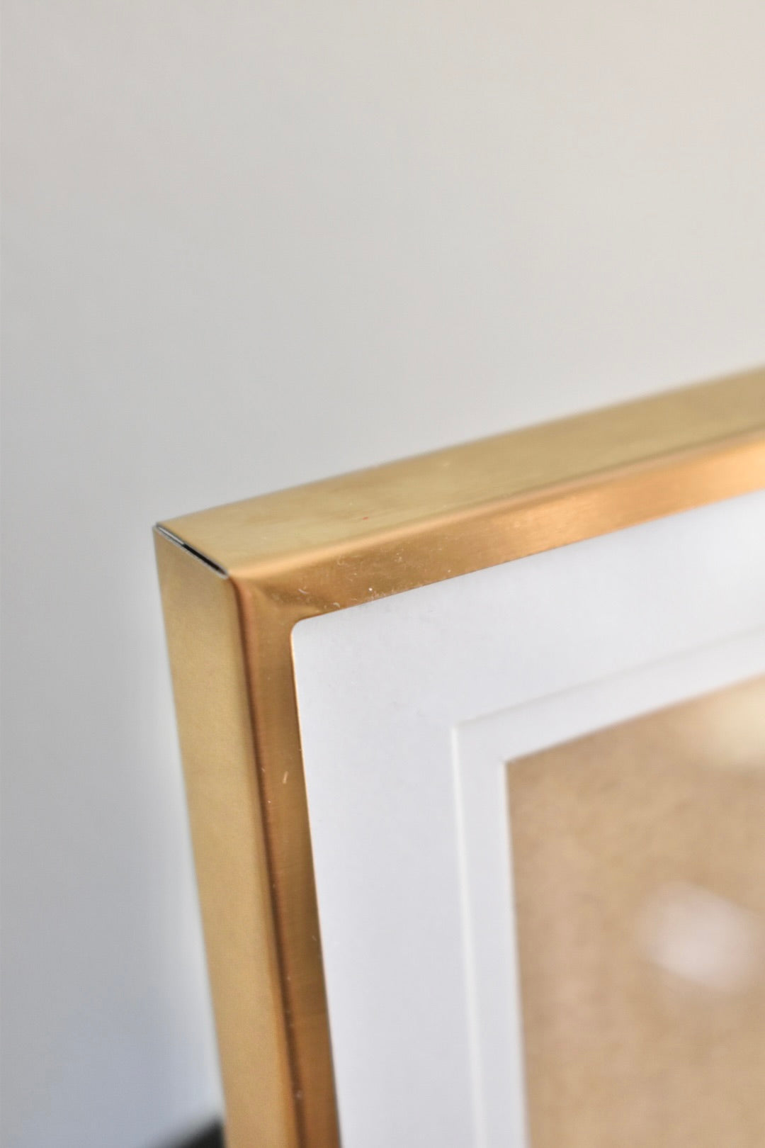 medium brushed brass frame - custom pet portrait