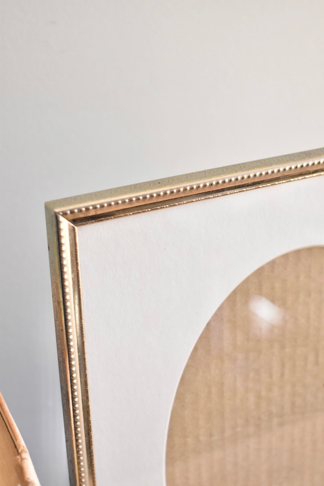 large oval mat brass frame - custom pet portrait