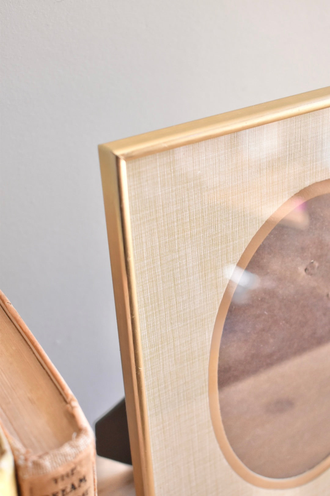 large oval mat brass frame - custom pet portrait