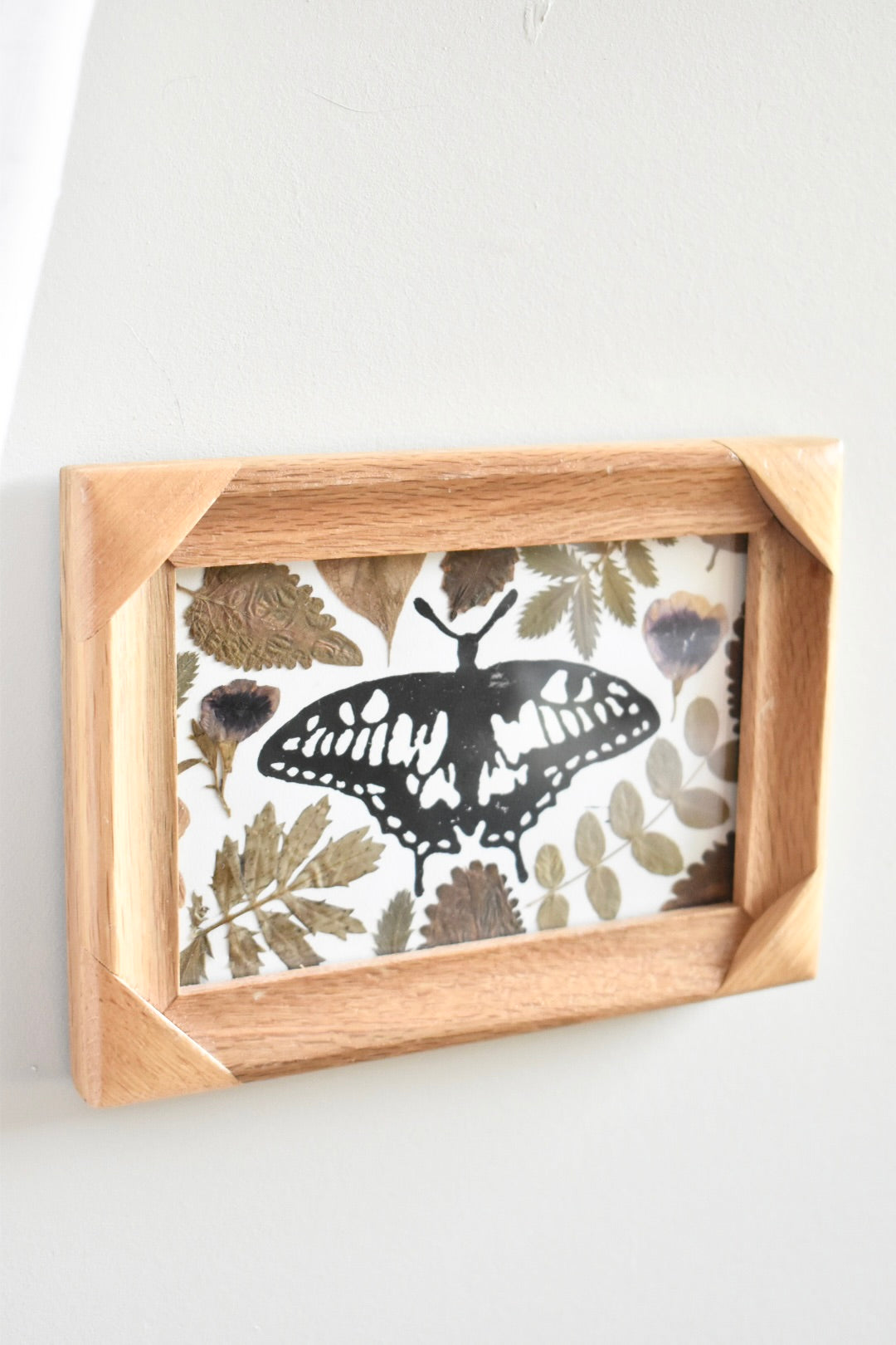 Medium butterfly wooden pressed flower frame