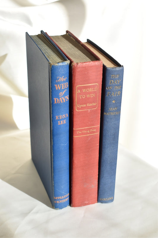 vintage tonal book set (blue and red)