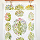 vintage botanical print - ‘culinary herbs’