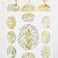 vintage botanical print - ‘culinary herbs’